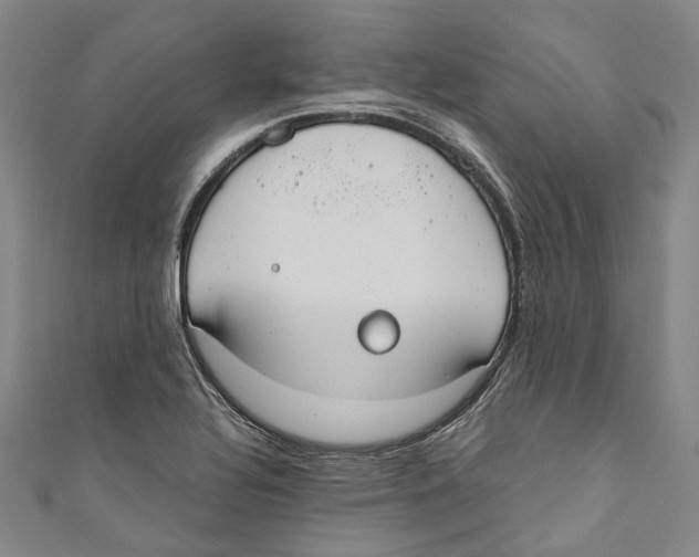 X0000110691320200907101140