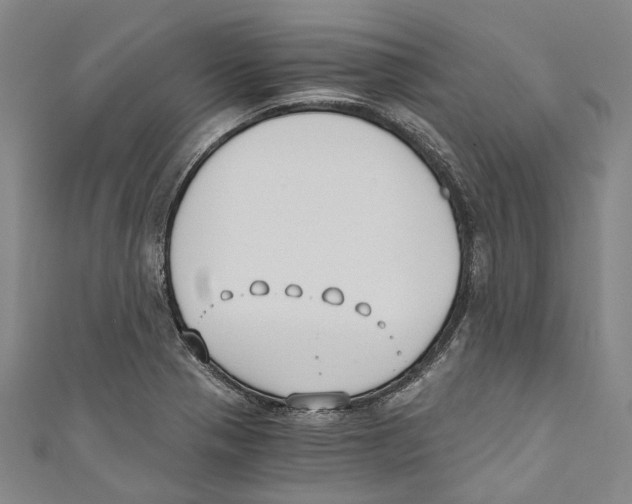 X0000110691321200907101140