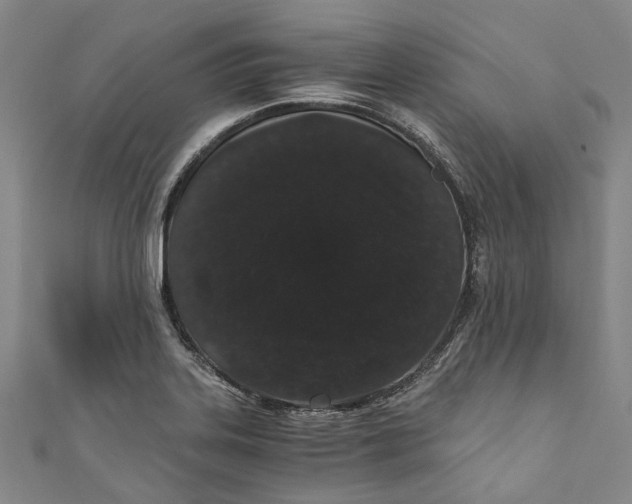 X0000110691323200907101140