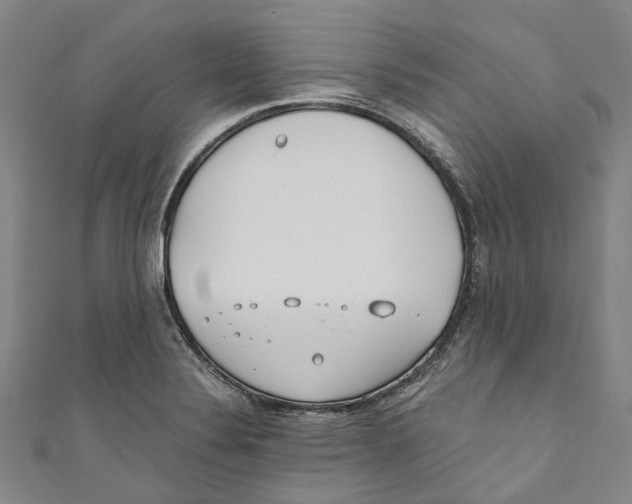 X0000110691324200907101140