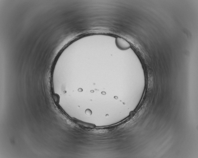 X0000110691325200907101140