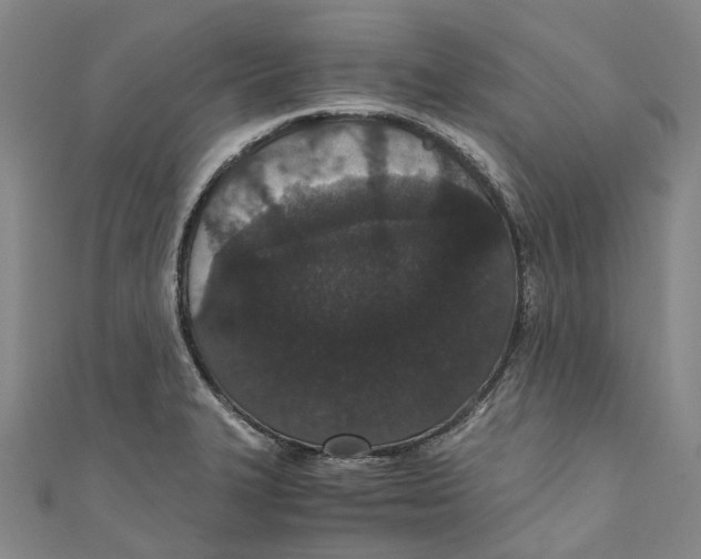 X0000110691327200907101140