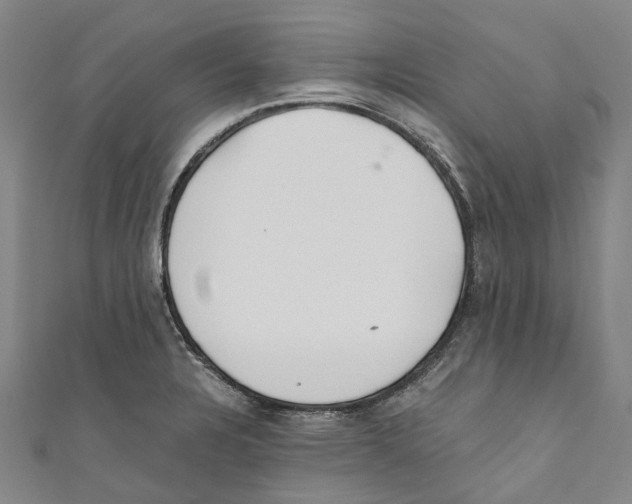 X0000110691328200907101140