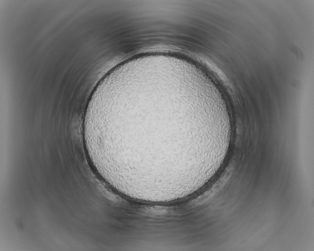 X0000110691329200907101140