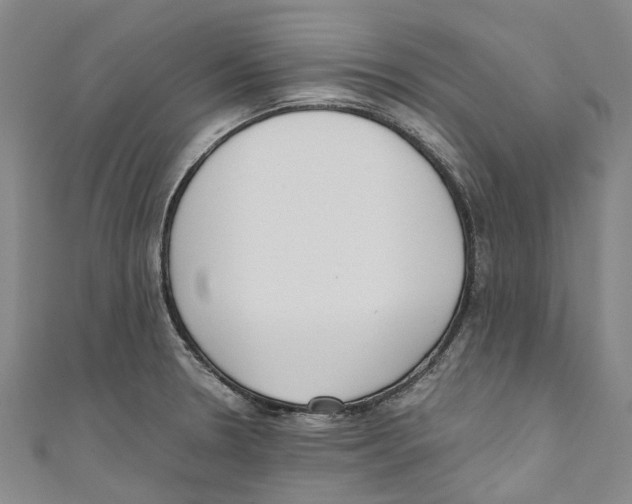 X0000110691330200907101140