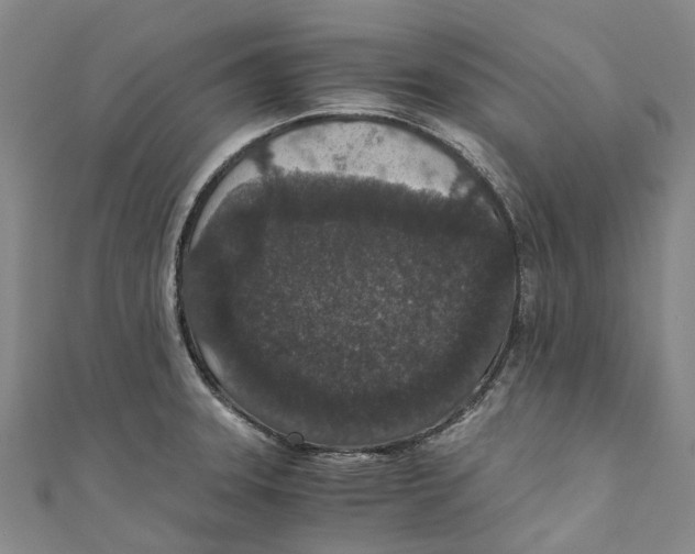 X0000110691331200907101140