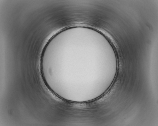 X0000110691333200907101140