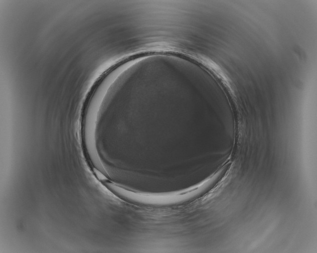 X0000110691334200907101140