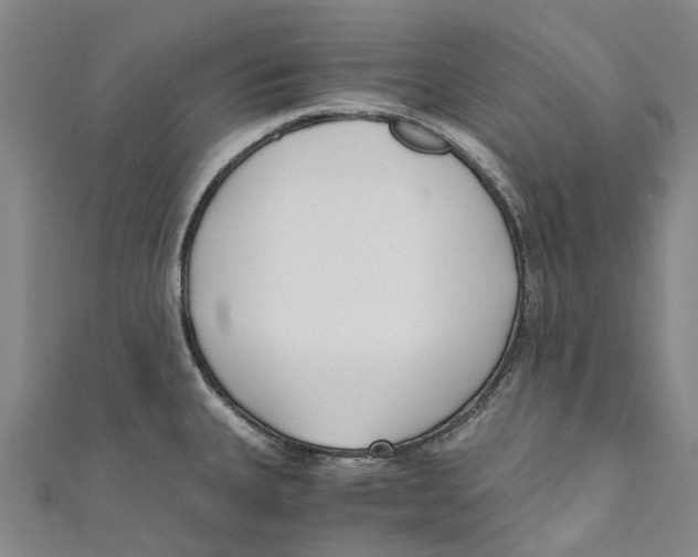 X0000110691335200907101140