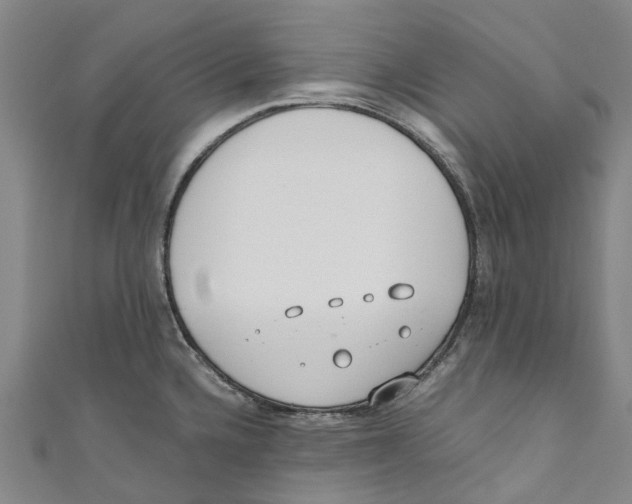 X0000110691336200907101140