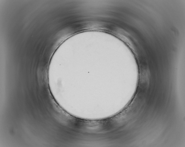 X0000110691338200907101140