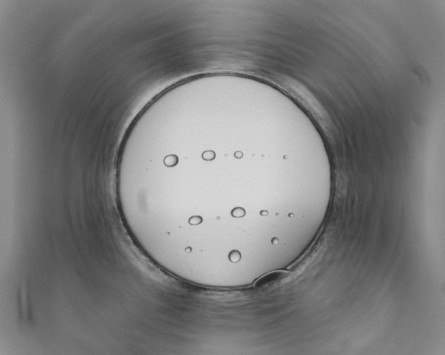 X0000110691340200907101140