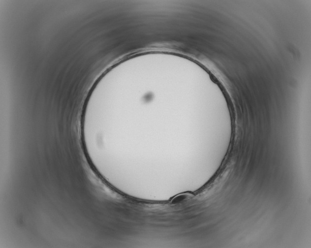 X0000110691341200907101140