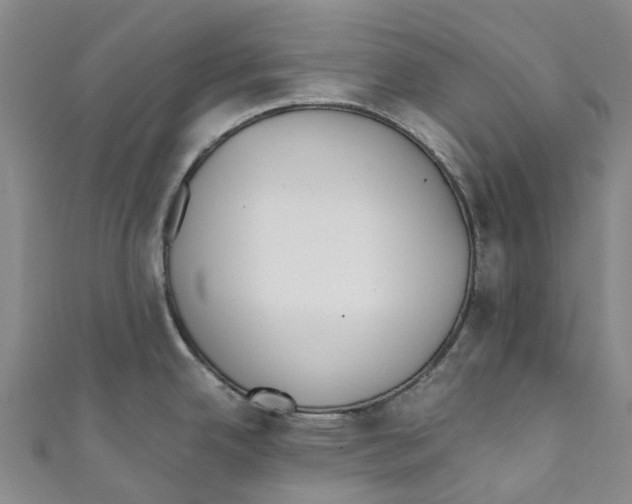 X0000110691342200907101140