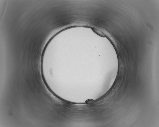 X0000110691343200907101140