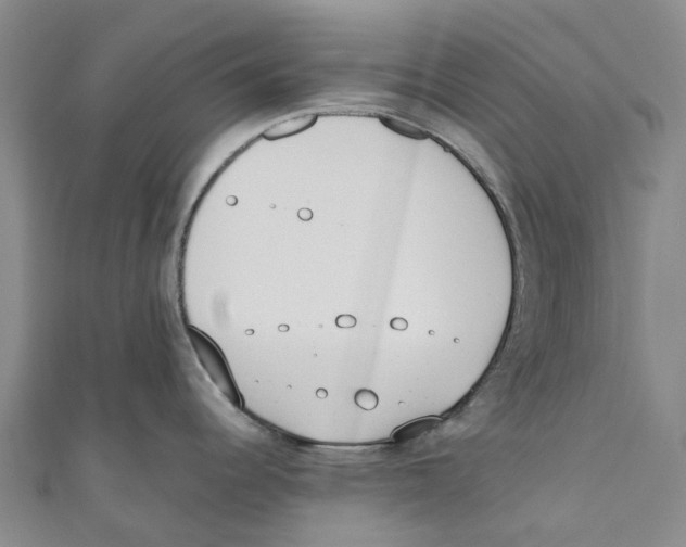 X0000110691344200907101140