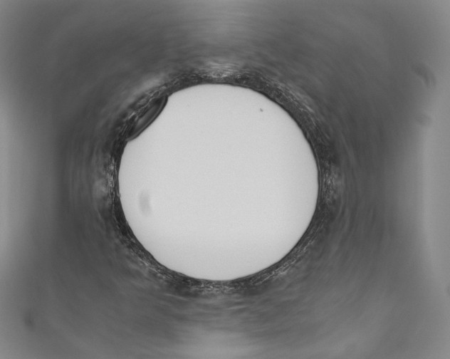 X0000110691349200907101140