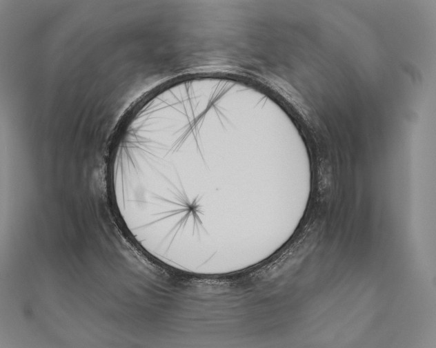 X0000110691356200907101140