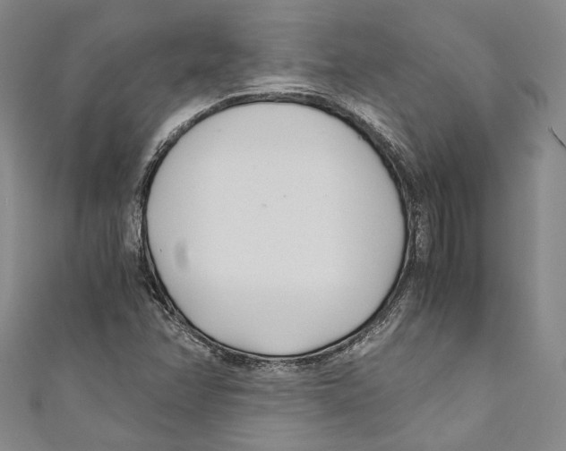 X0000110691358200907101140