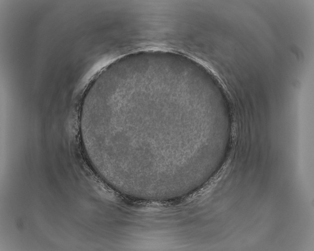 X0000110691359200907101140