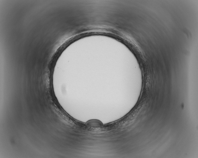 X0000110691360200907101140