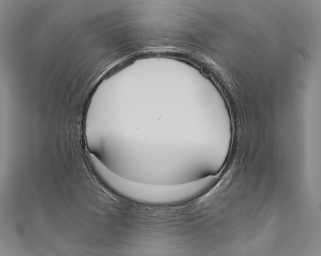 X0000110691361200907101139