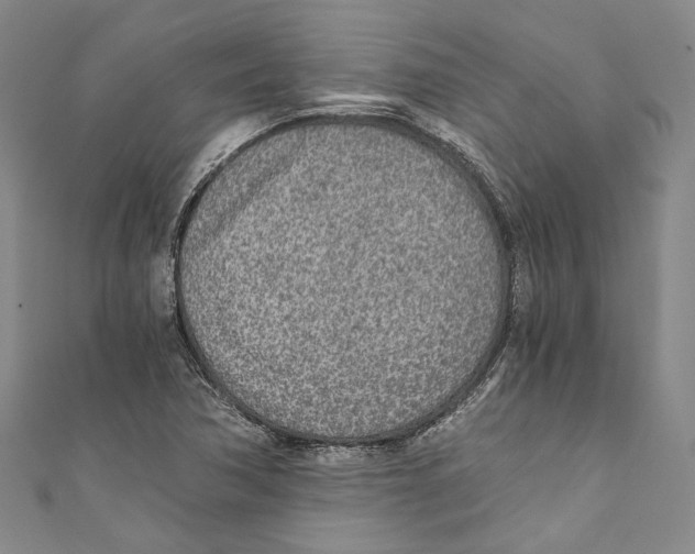 X0000110691362200907101139