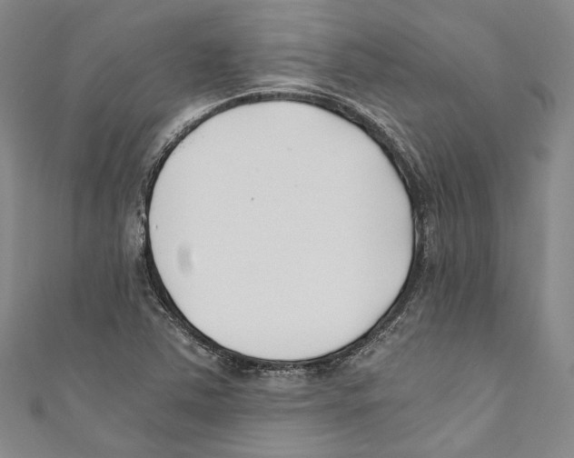 X0000110691363200907101139