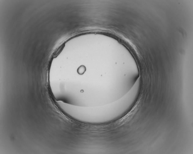 X0000110691365200907101139