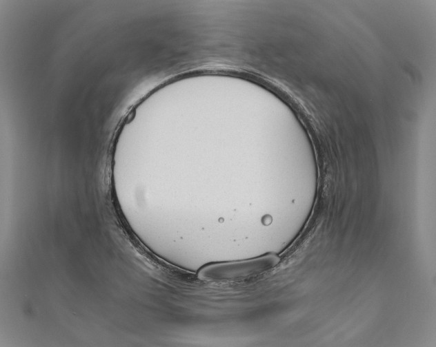 X0000110691367200907101139