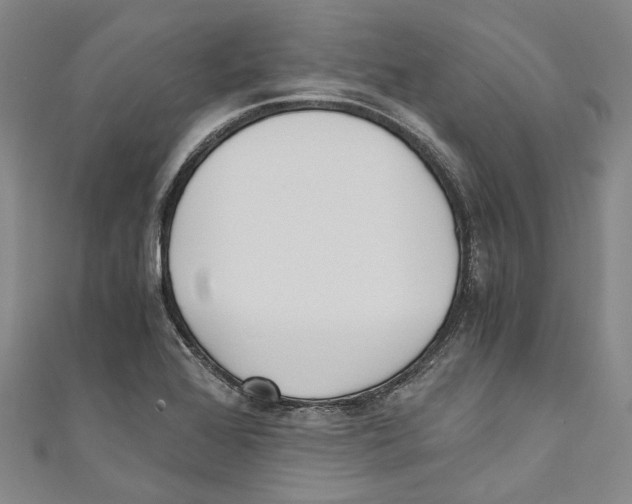 X0000110691368200907101139