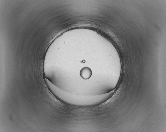 X0000110691369200907101139