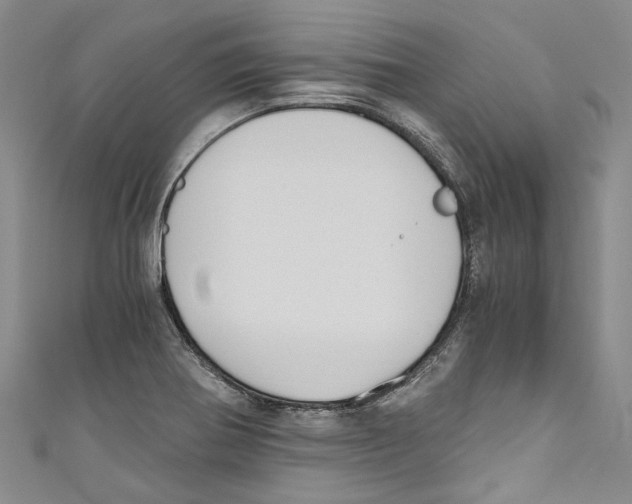 X0000110691370200907101139