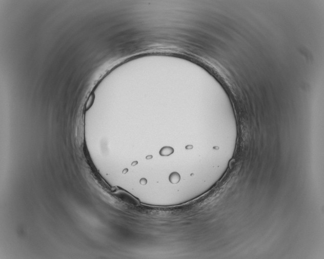 X0000110691371200907101139