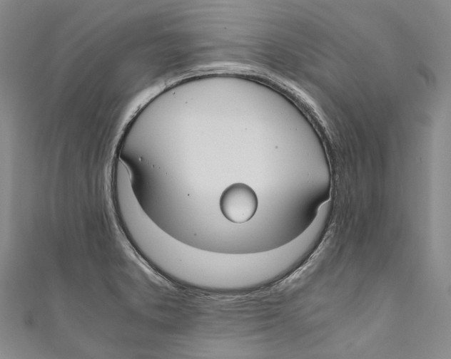 X0000110691373200907101139