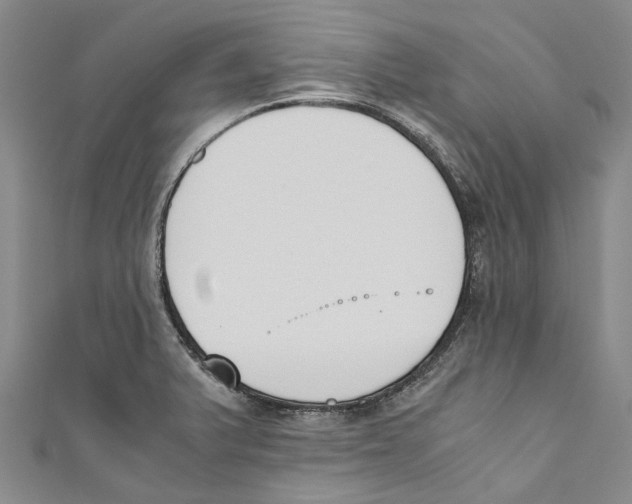 X0000110691375200907101139