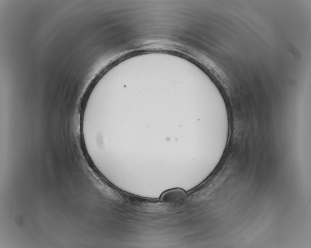 X0000110691376200907101139