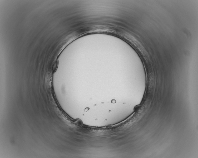 X0000110691377200907101139