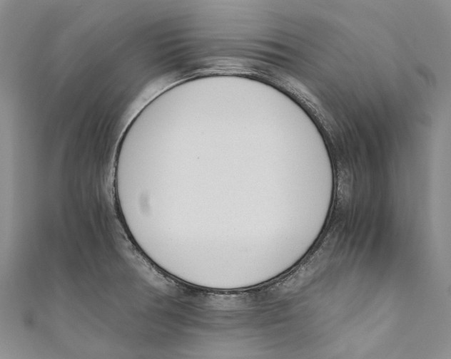 X0000110691378200907101139