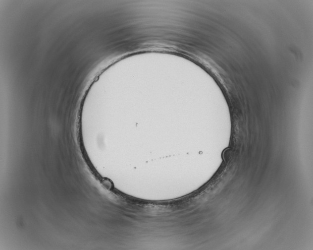 X0000110691379200907101139