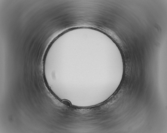 X0000110691380200907101139