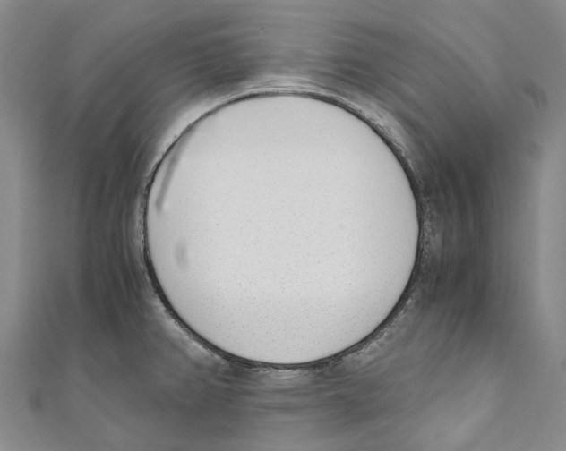 X0000110691382200907101139