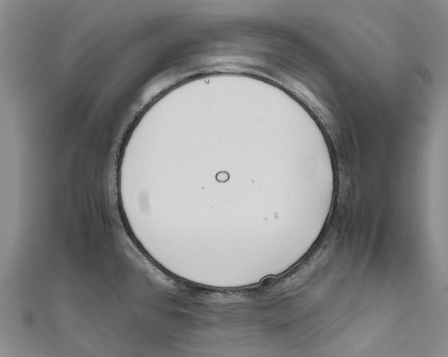 X0000110691384200907101139