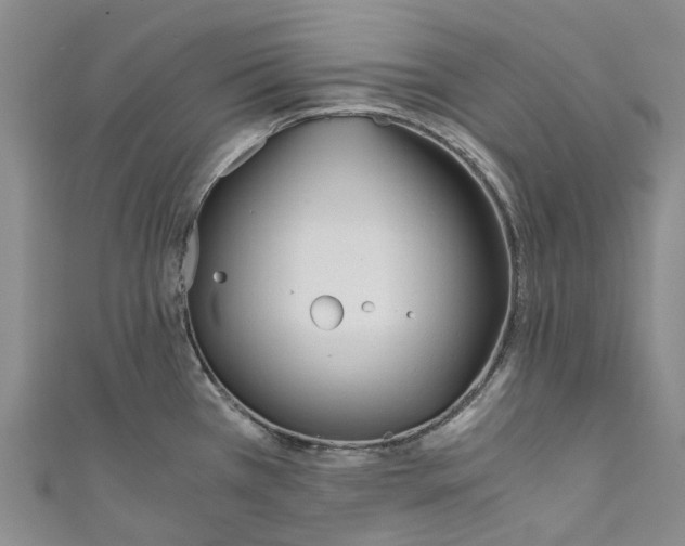 X0000110691385200907101139