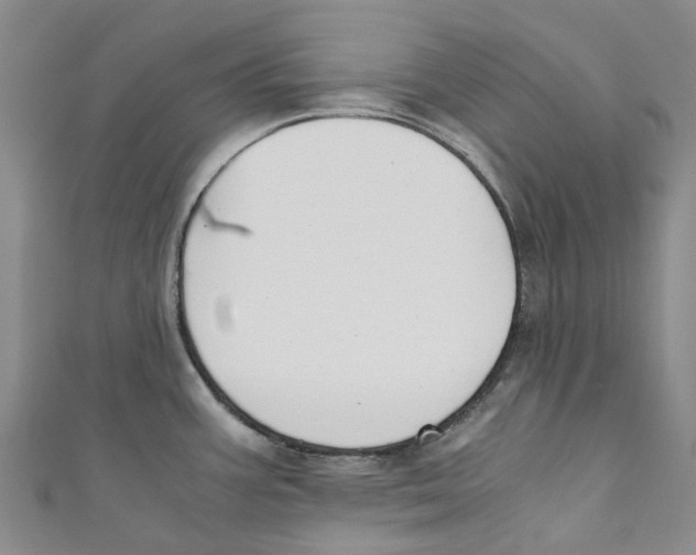 X0000110691387200907101139