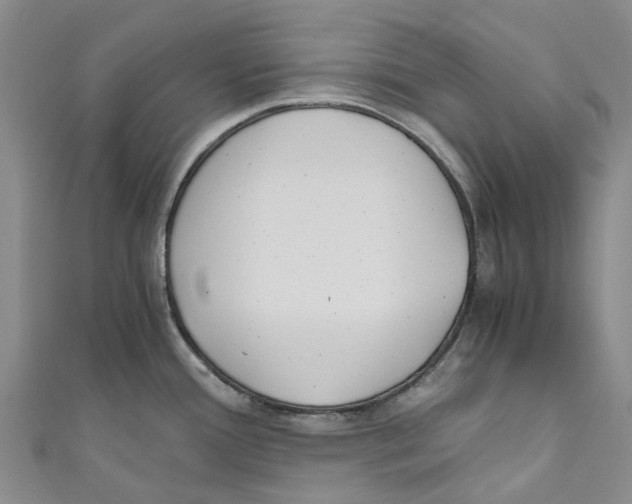 X0000110691388200907101139