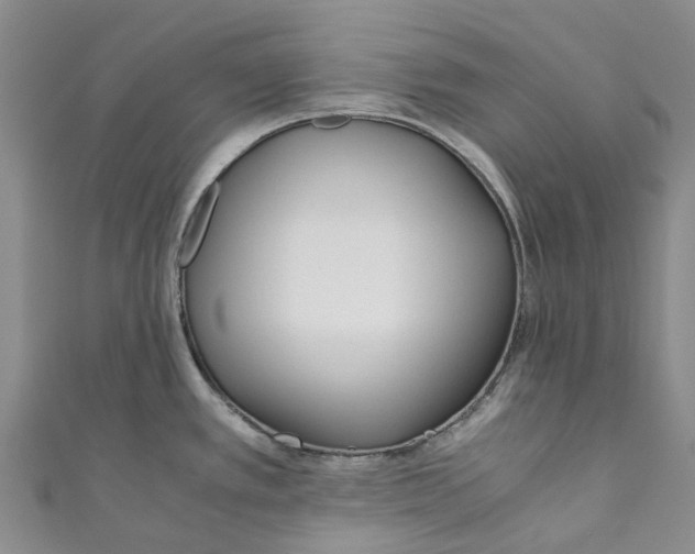 X0000110691389200907101139