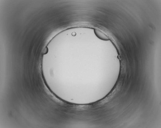 X0000110691390200907101139