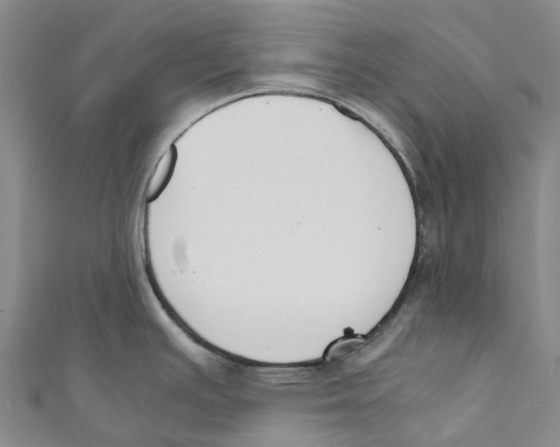 X0000110691391200907101139