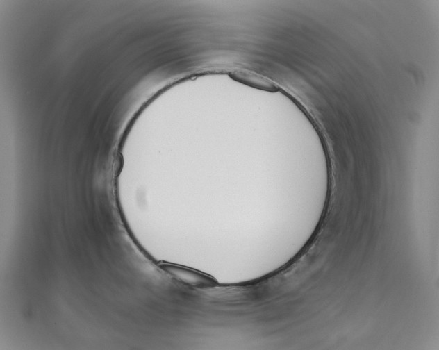 X0000110691392200907101139